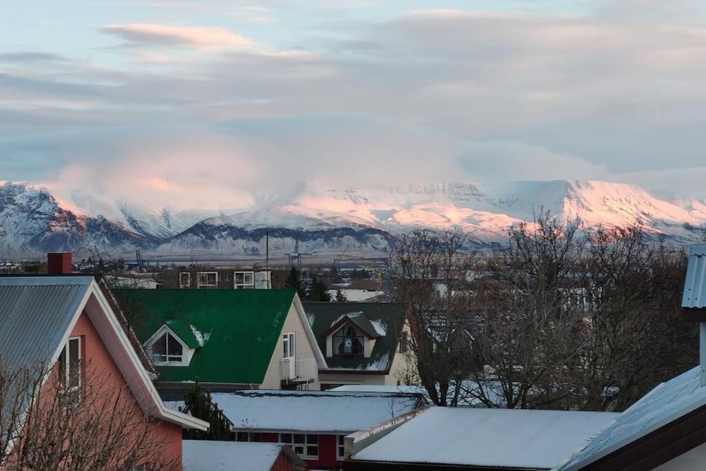 Icelandic Art Garden Villa W. Parking In Centre City Рейк'явік Екстер'єр фото